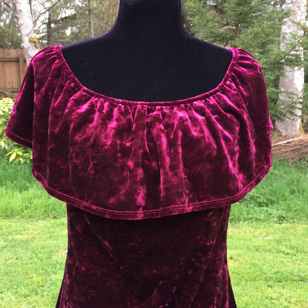 Forever 21 Burgundy Velvet Dress - Picture 4 of 8